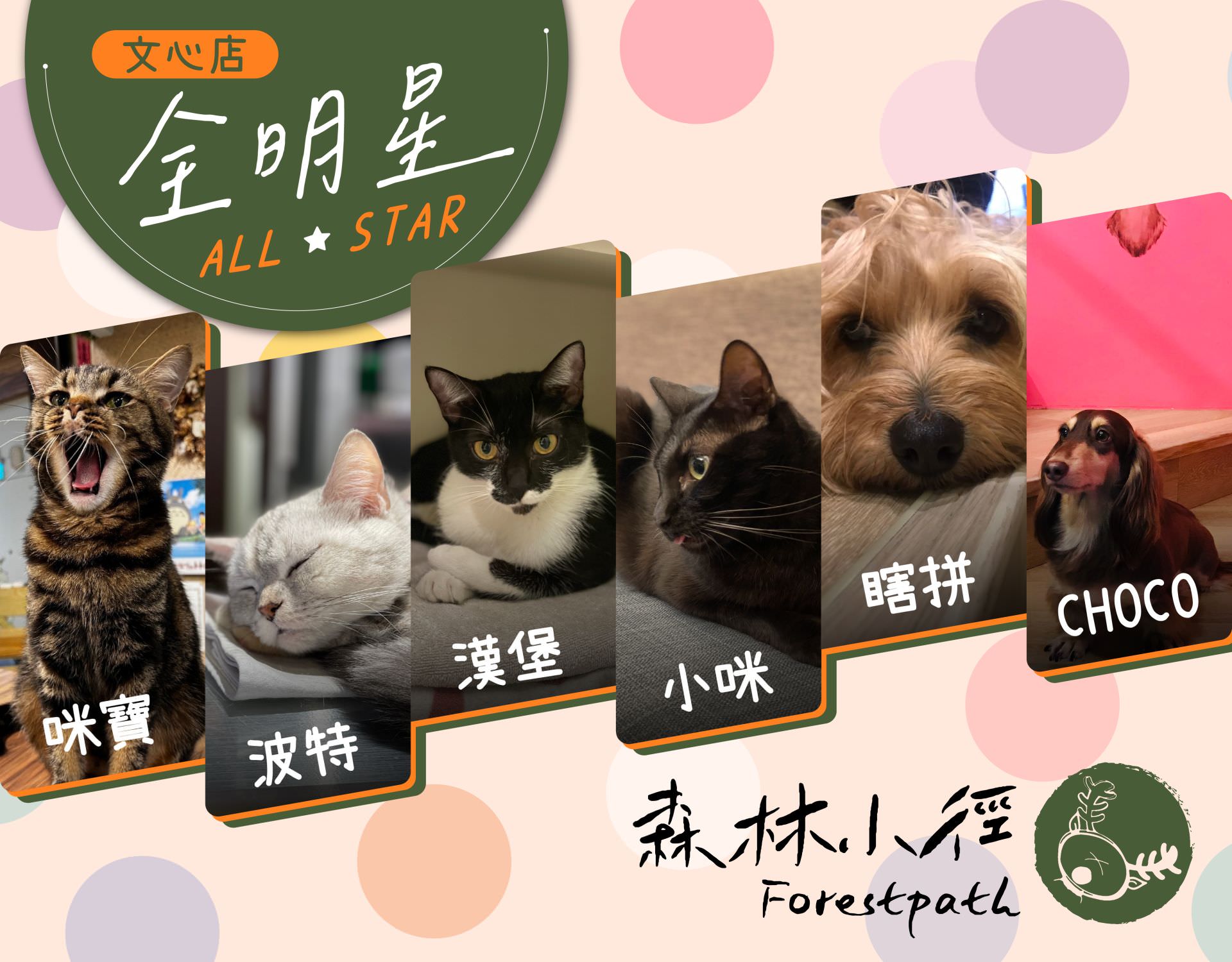 森林小徑餐廳文心店明星